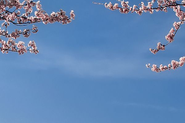 整形专业知识大全：了解整形项目的全部内容