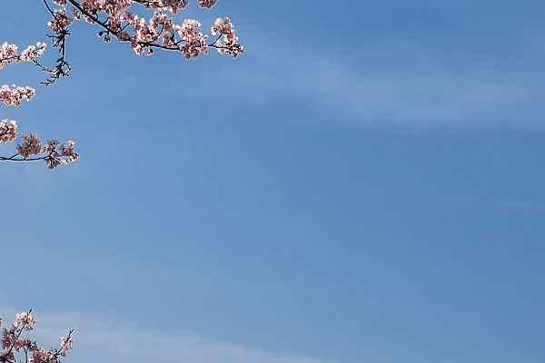 沈阳杏林整形医院双眼皮手术价格沈阳杏林整形医院双眼皮手术优惠