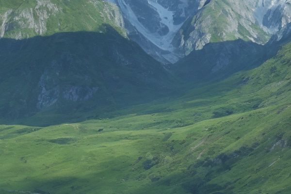 哪个正规宠物医生培训学校更优秀培训宠物兽医技能