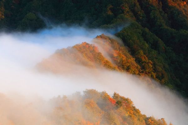 诺美口腔门诊评价及服务介绍专业技术