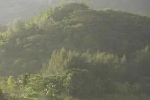 整形产品品牌名称大全 - 选择最合适的整形品牌整形产品名称