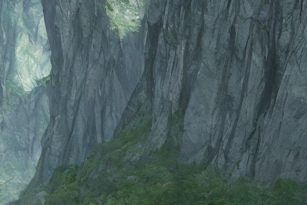 牙冠爱尔创和威兰德哪个更适合您？牙齿美容效果