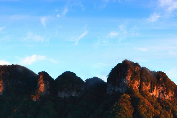 出国迪拜需办理哪种签证迪拜签证材料
