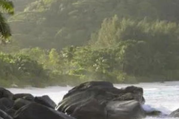 地包天治疗方法详解坚决地把地包天咬好