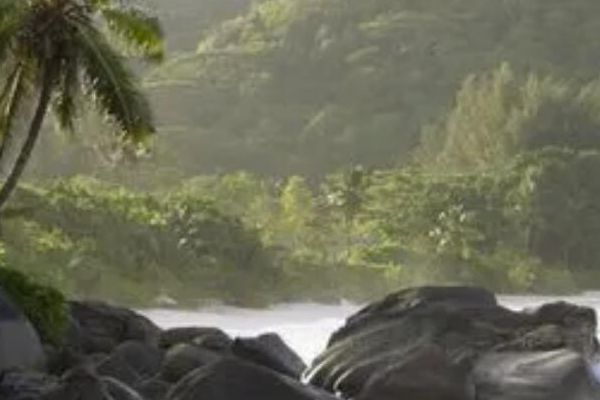 地包天治疗方法详解果断把地包天咬好