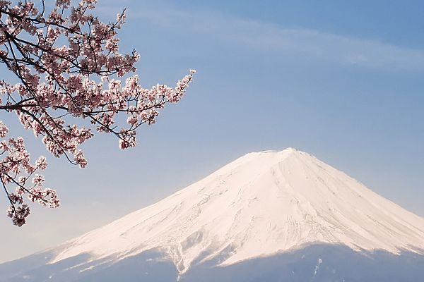 耳朵在多大年龄停止生长？注意力