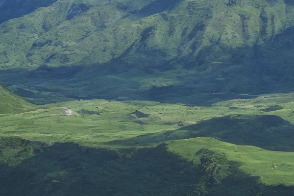 冯医生提供的面部整形手术价格注射瘦脸针价格