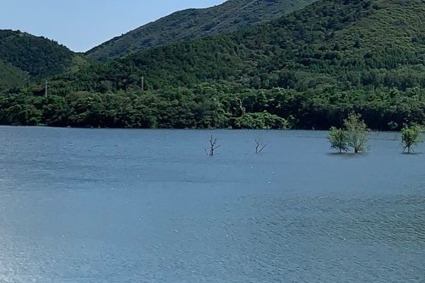 广州医美医院综合排名 andquarters广州整形医院医术排名