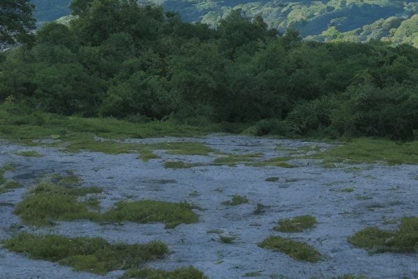 汕头市整形医院排名前三汕头市整形外科医院排名