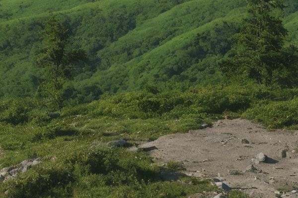 医美价目表如何进行报备？医美价目表报备地点